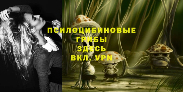 марки nbome Инта