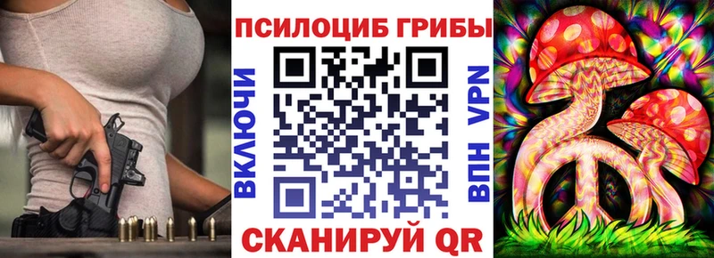 Купить где  Егорьевск  Галлюциногенные грибы Psilocybe 